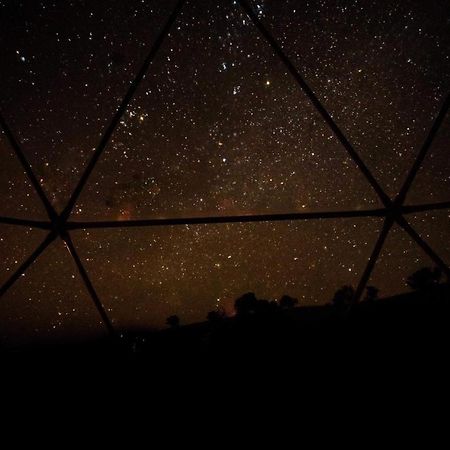 Hillview Farmstay Гандагай Екстериор снимка