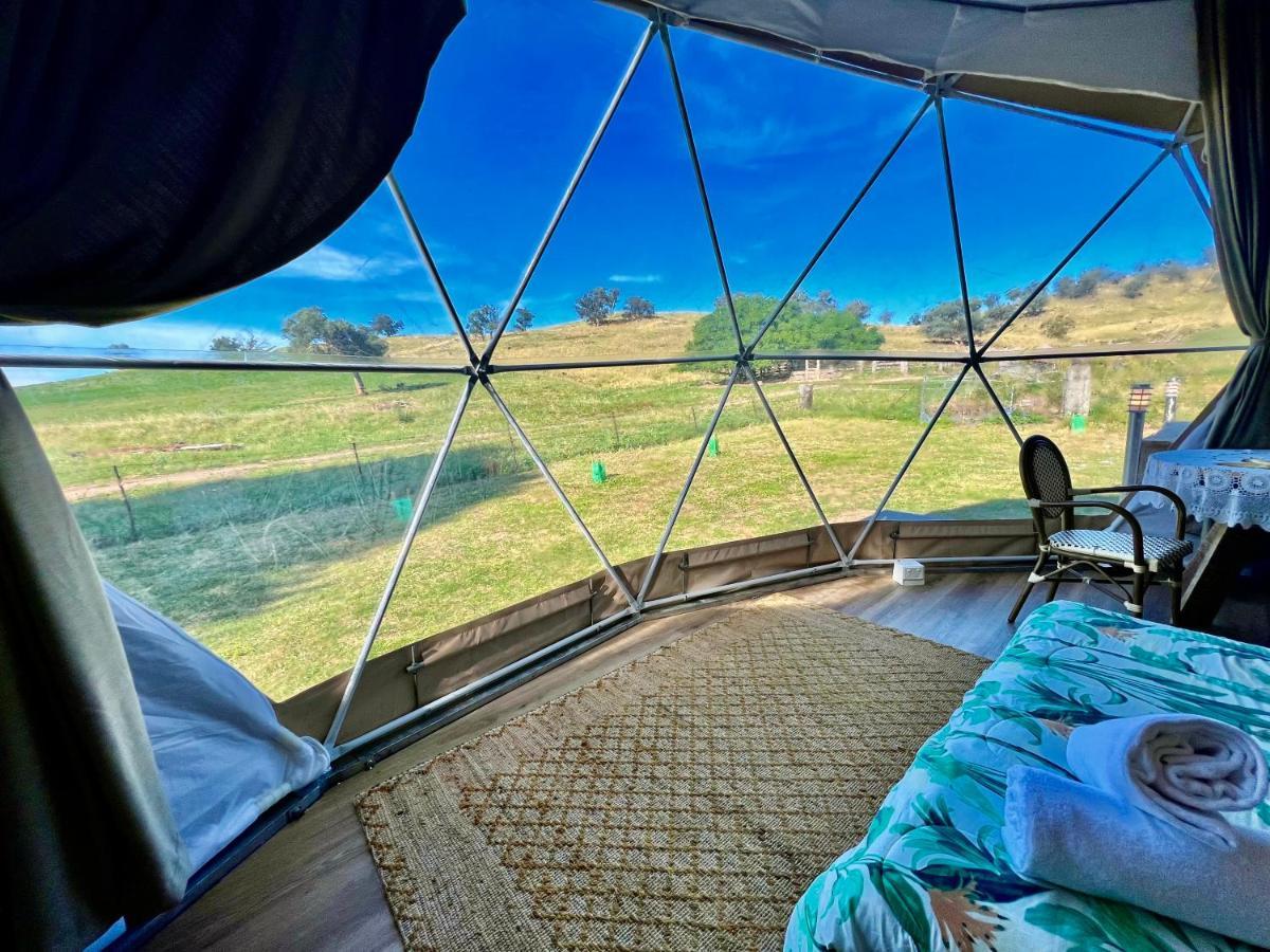 Hillview Farmstay Гандагай Екстериор снимка