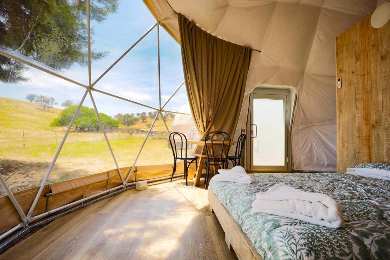 Hillview Farmstay Гандагай Екстериор снимка