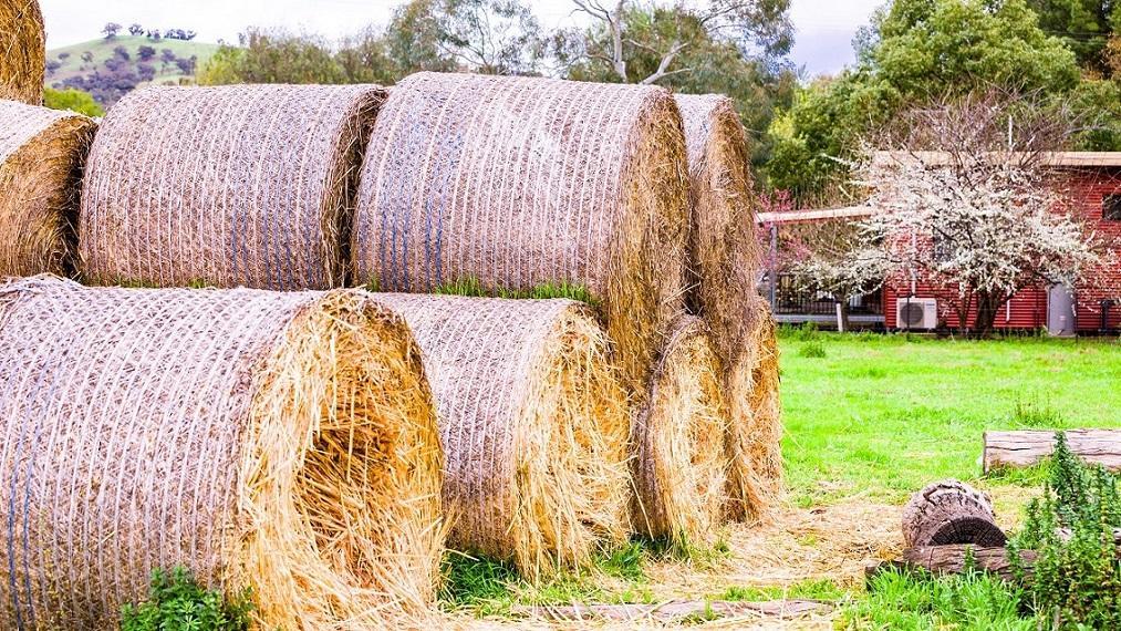 Hillview Farmstay Гандагай Екстериор снимка