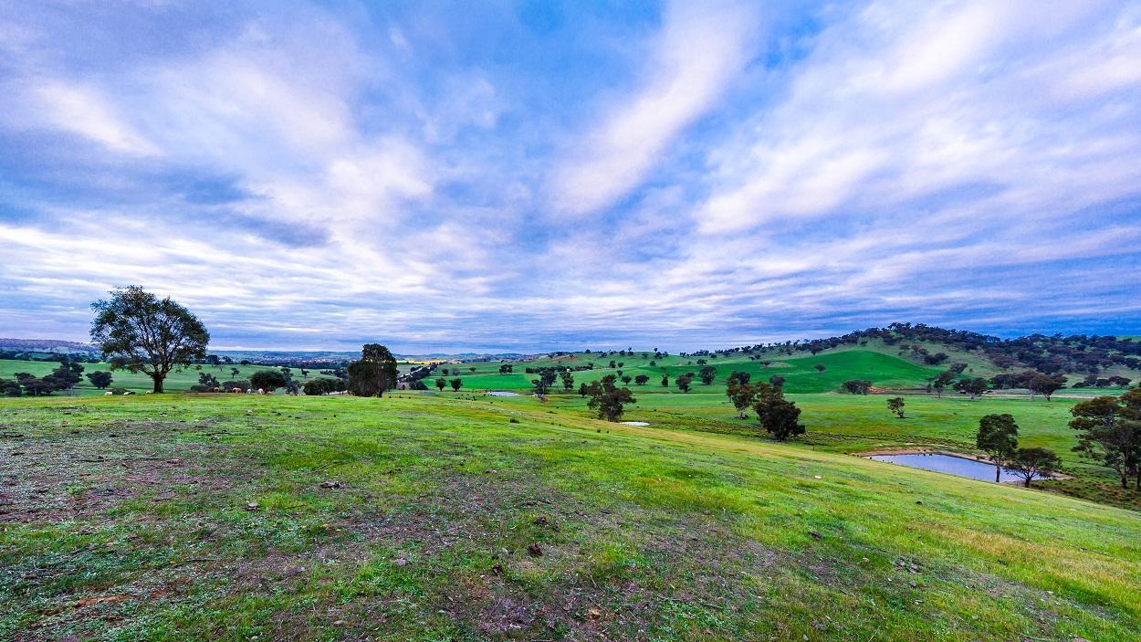 Hillview Farmstay Гандагай Екстериор снимка