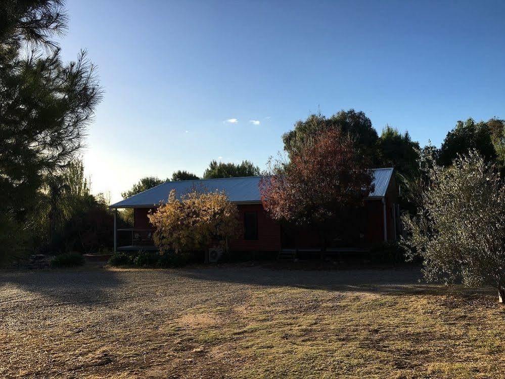 Hillview Farmstay Гандагай Екстериор снимка