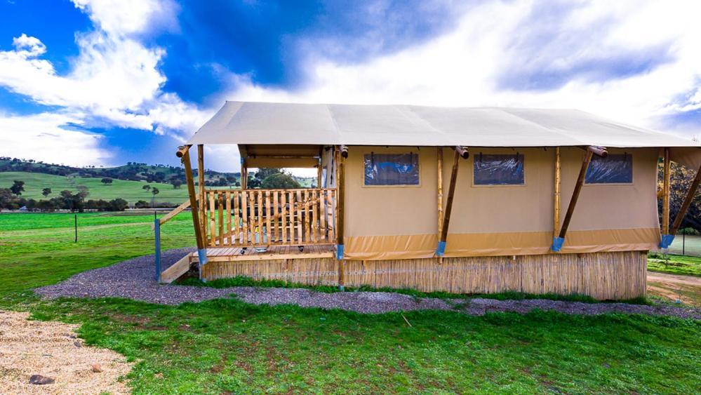 Hillview Farmstay Гандагай Екстериор снимка
